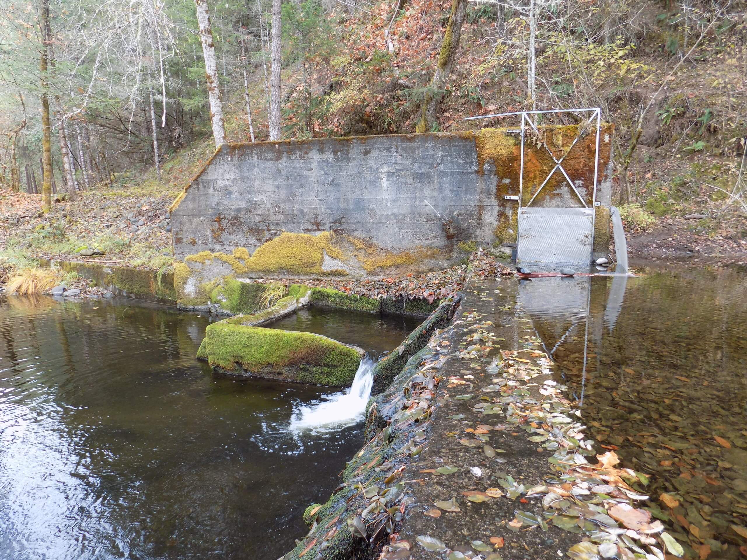 Former dam on Slate Creek