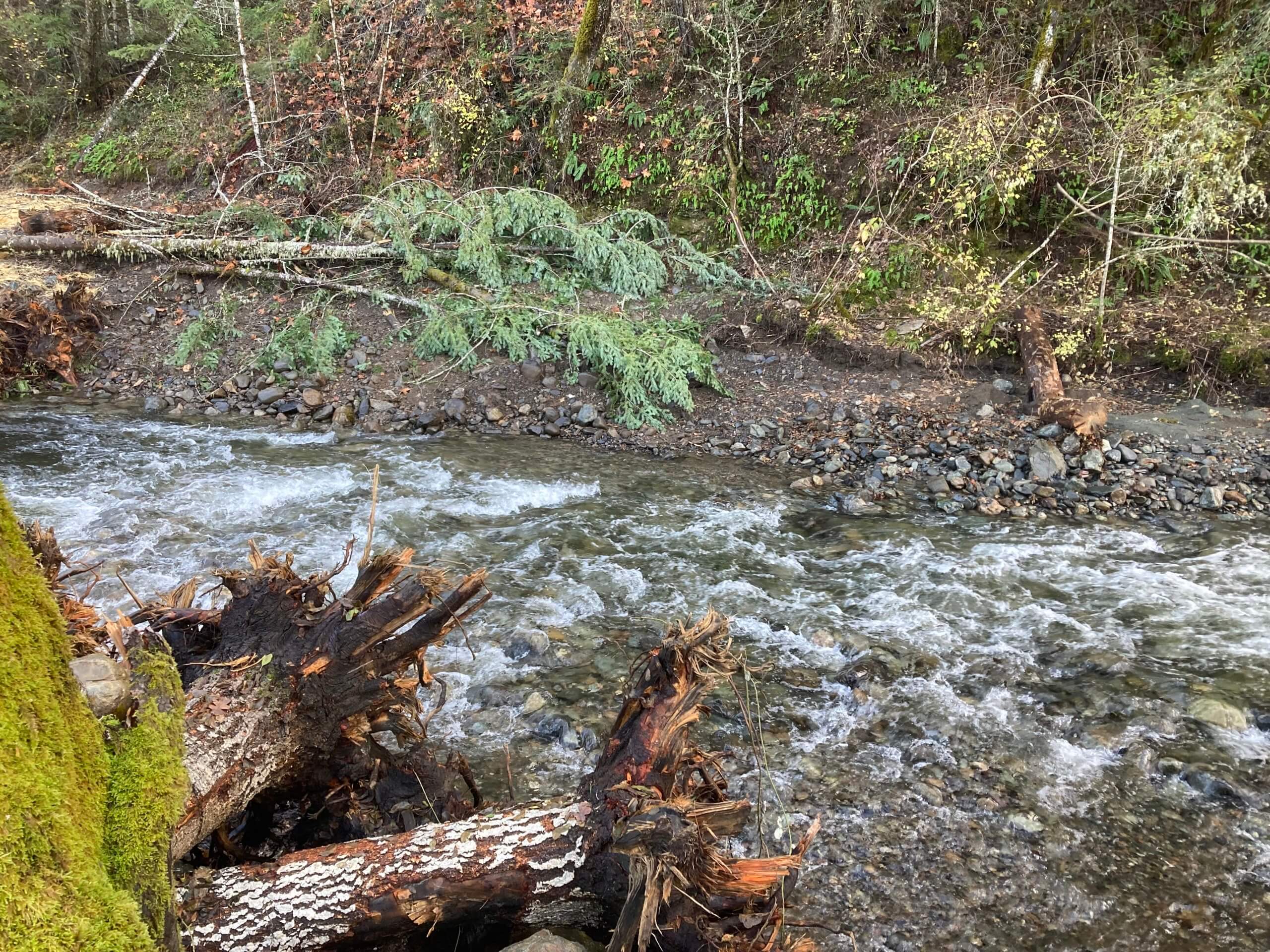 Former dam on Slate Creek