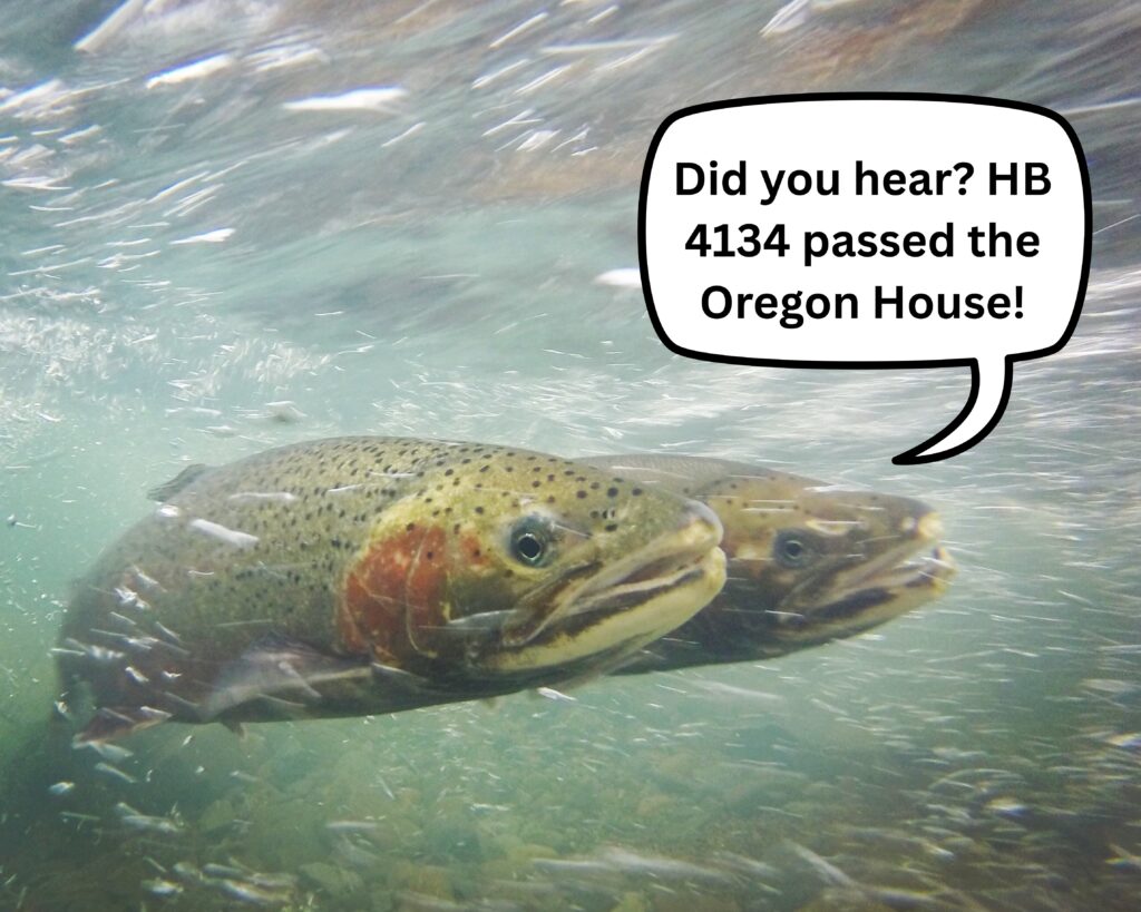 WaterWatch of Oregon - 15
