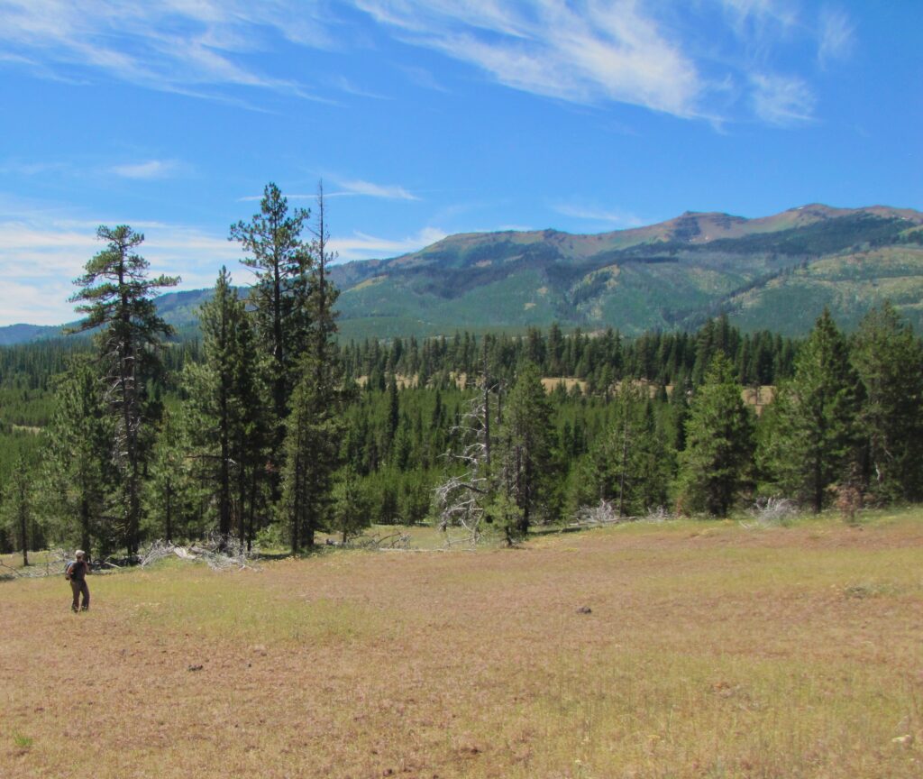 TH_Wallowa_Whitman_072313_2_1280_1080