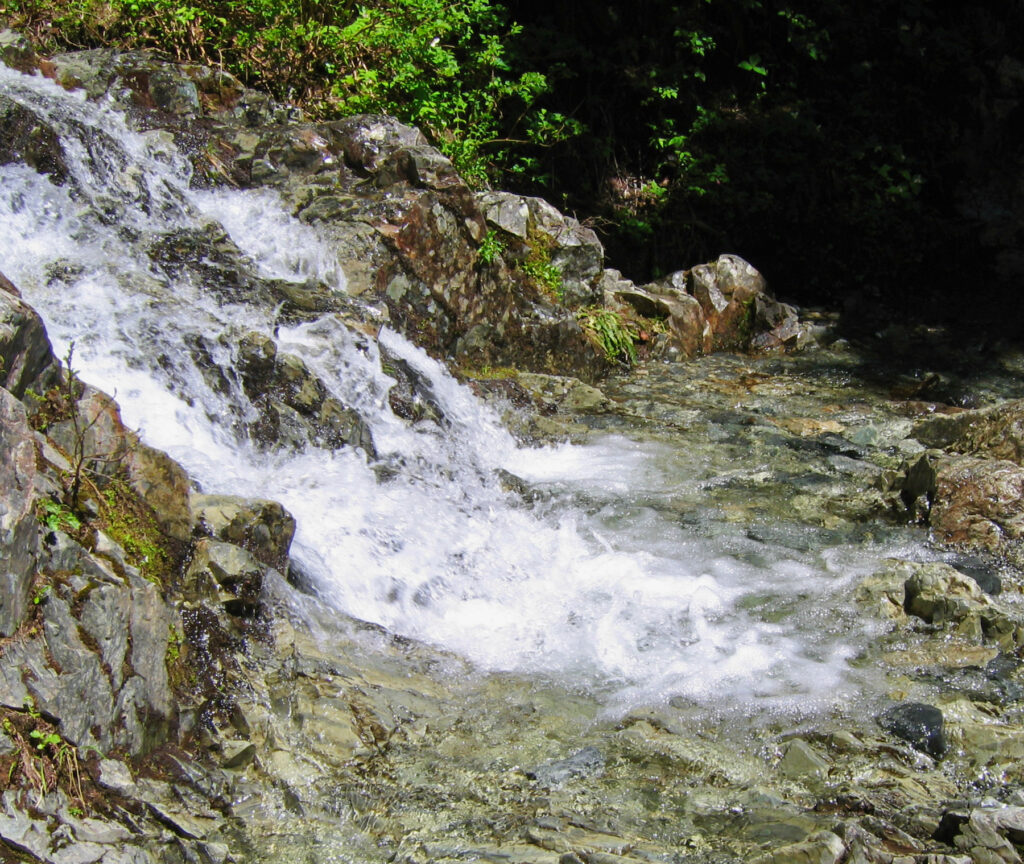 IMG_5127.JPG